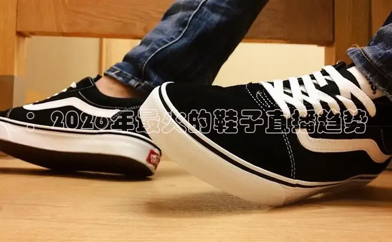蜘蛛直播