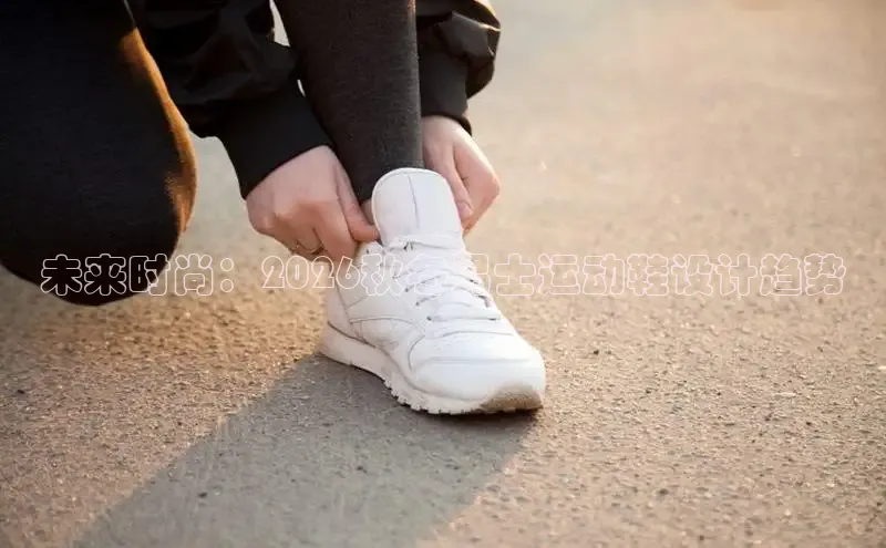 蜘蛛看球直播体育