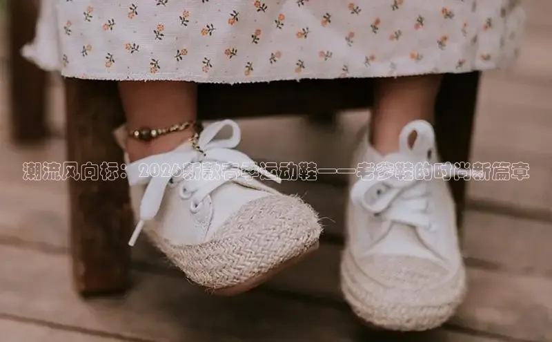 足球蜘蛛直播在线观看